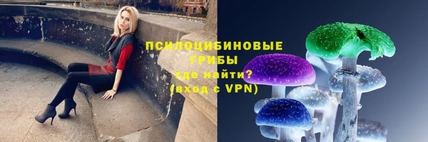 амф Горняк