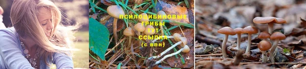 ешки Горнозаводск