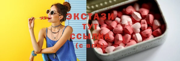амф Горняк