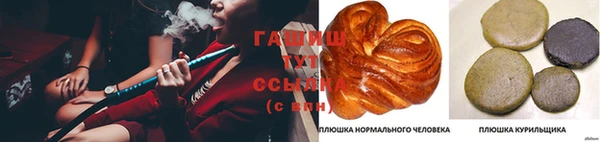 амф Горняк
