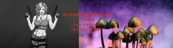 амф Горняк