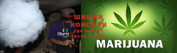 амф Горняк