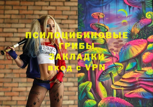 ешки Горнозаводск