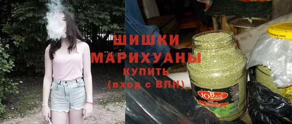 амф Горняк