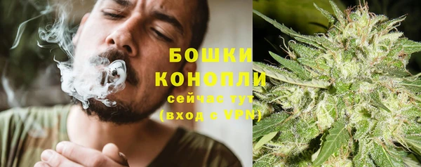 амф Горняк