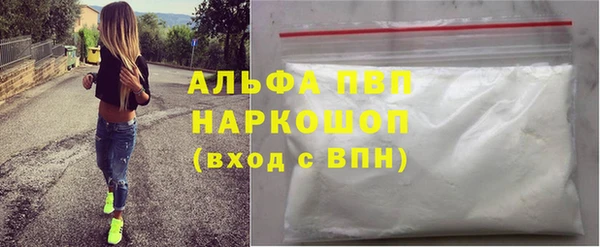 амф Горняк