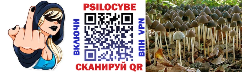 ссылка на мегу зеркало  даркнет сайт  Воронеж  Псилоцибиновые грибы Magic Shrooms 